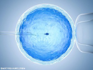 关于瑞柏国际医院